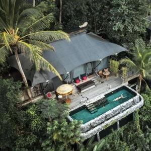 Our Stay at a Jungle Resort