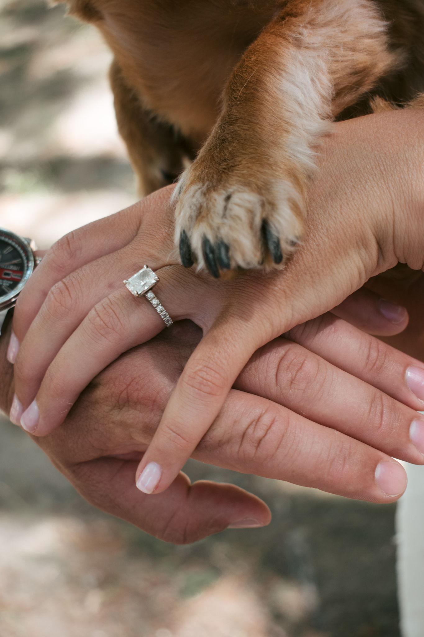 The Wedding Website of Jenna Simone and Giovanni Parisi
