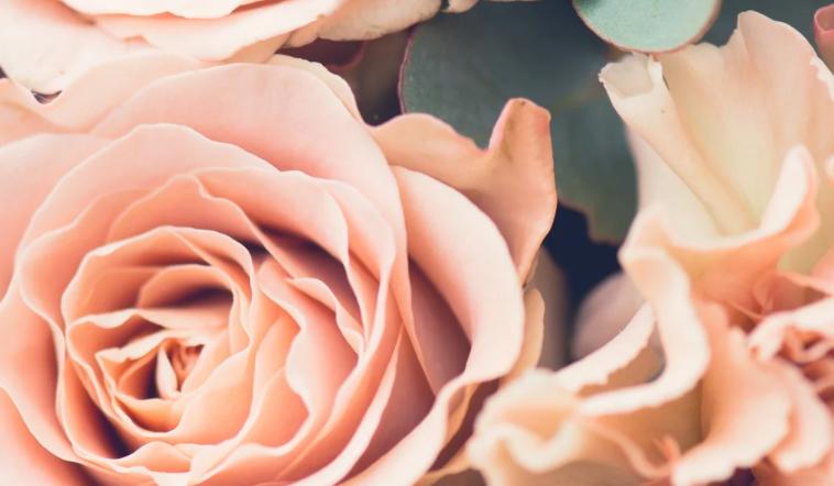 The Wedding Website of Lexi Srisuwan and Jamal Yeldell