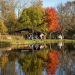 Quarry Hill Park