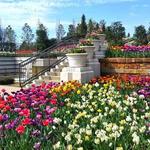 Tulsa Botanic Garden
