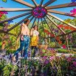 Marie Selby Botanical Gardens Downtown Sarasota