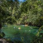 Blue Spring State Park