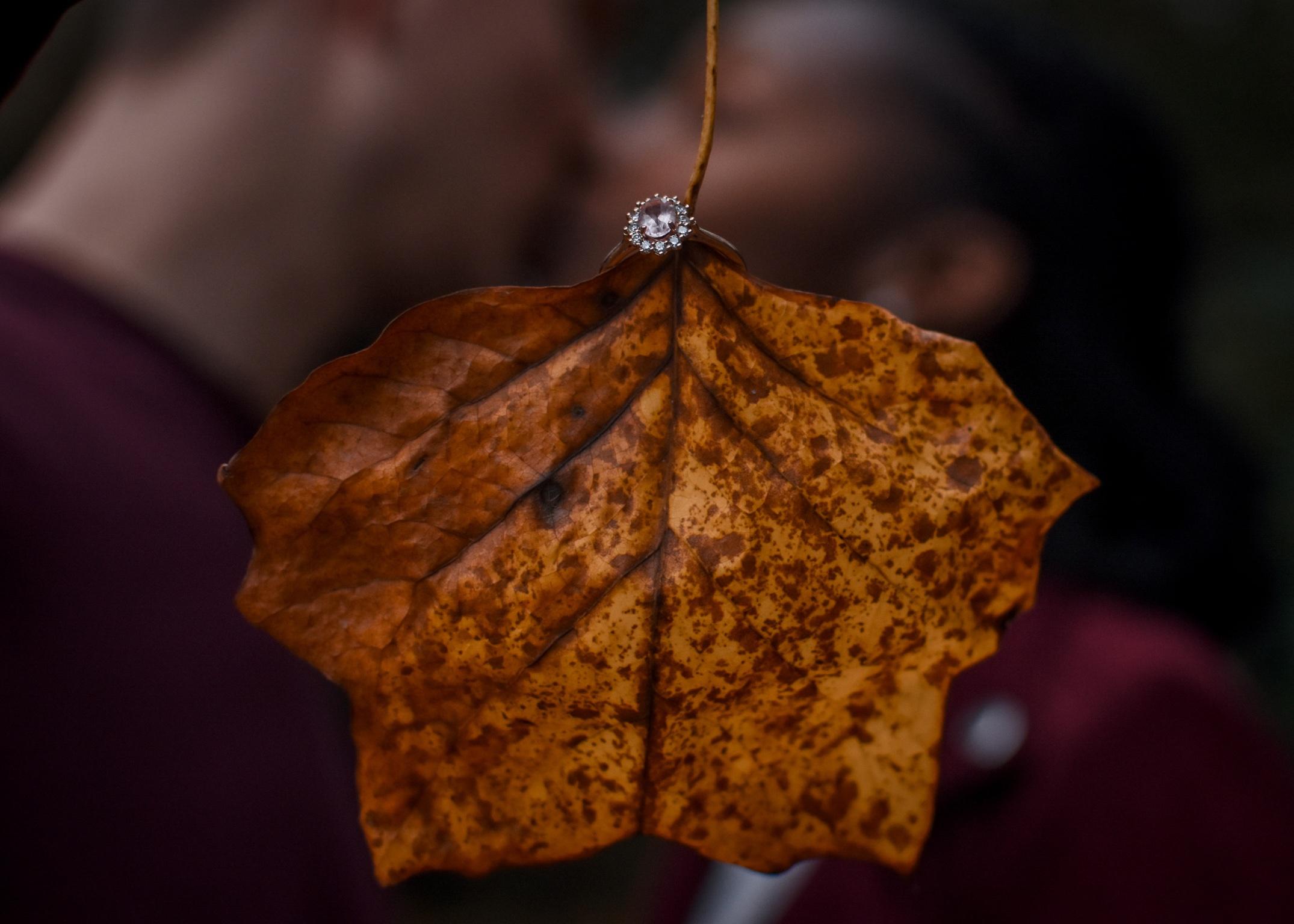 The Wedding Website of Kirsten Jones and Braden Anton