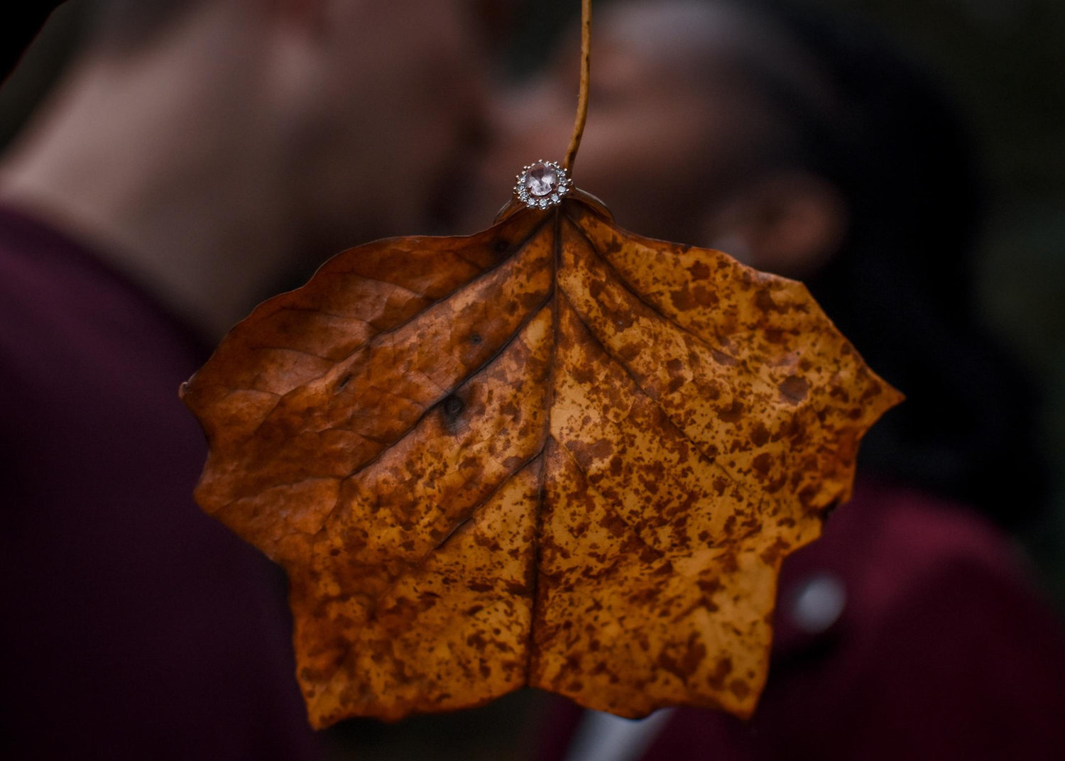 The Wedding Website of Kirsten Jones and Braden Anton