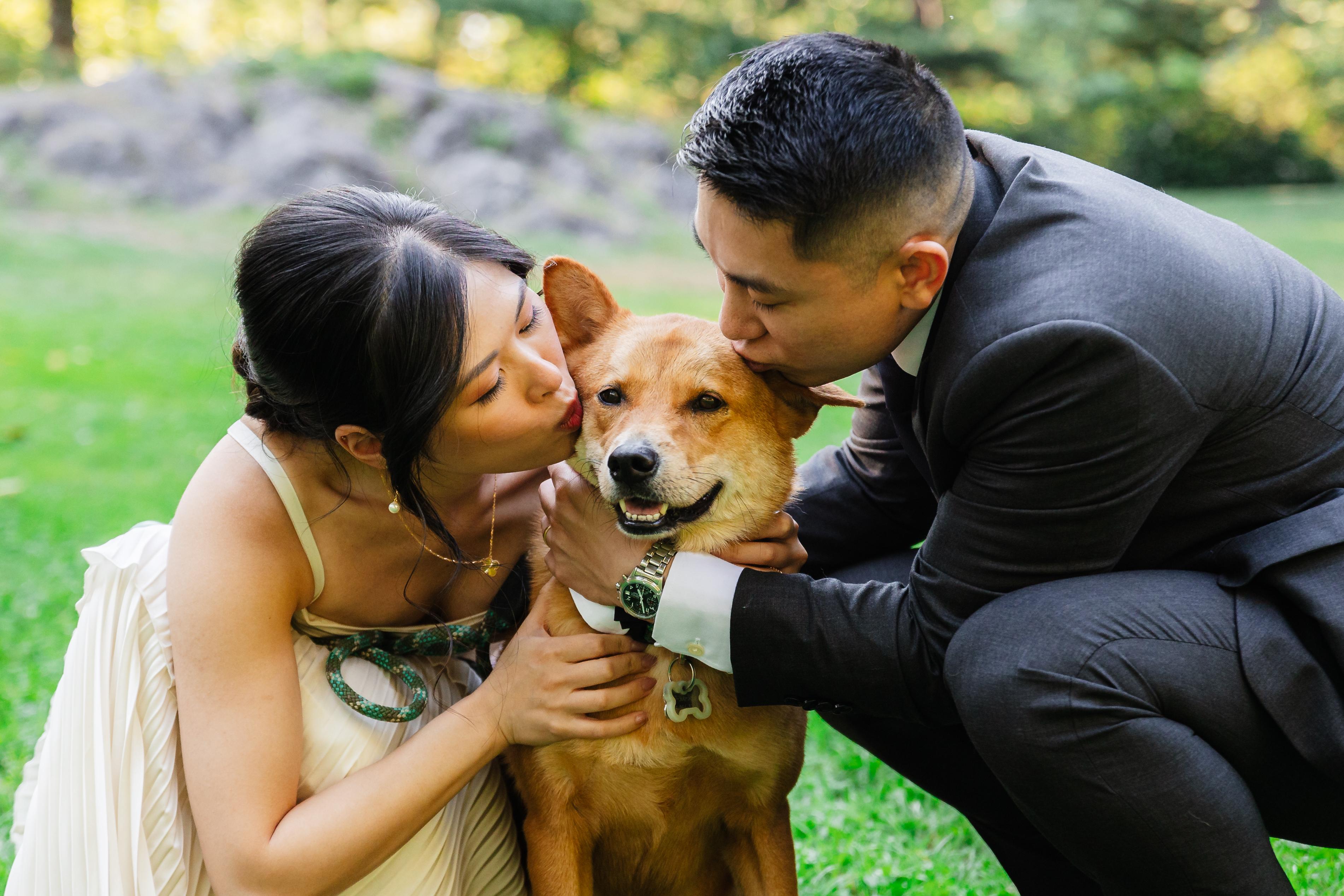 The Wedding Website of Alice Lu and Leon Xu