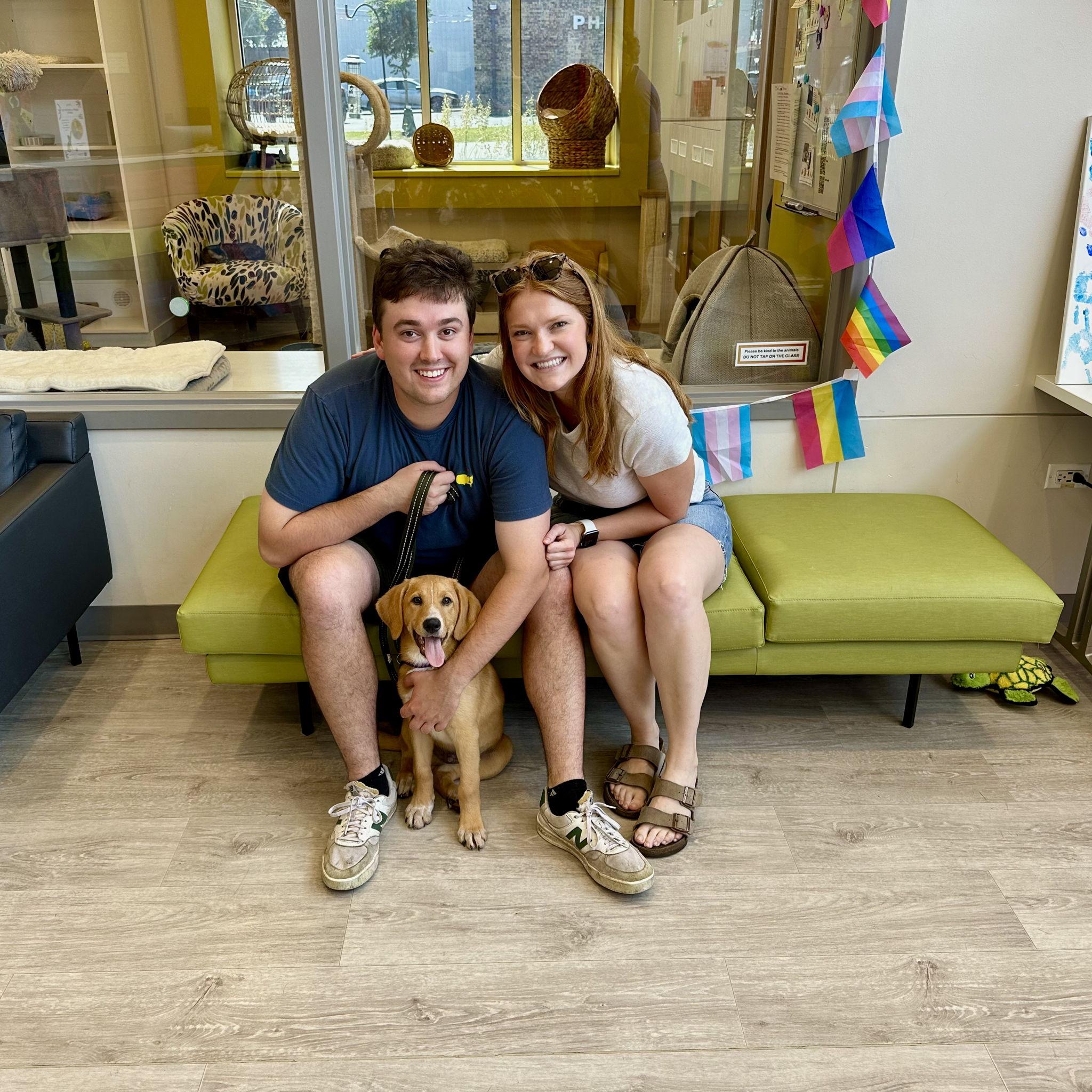 This summer, we adopted our boy Benny!