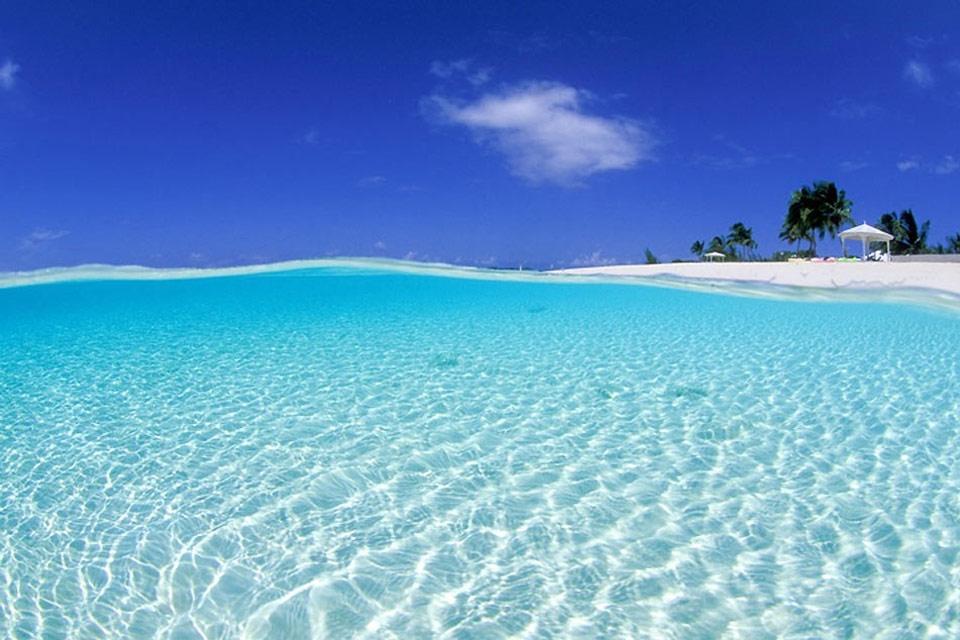 The Wedding Website of Hannah Shuman and John Korner