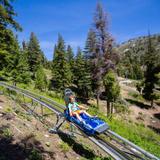 Bogus Basin