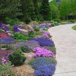 Betty Ford Alpine Gardens