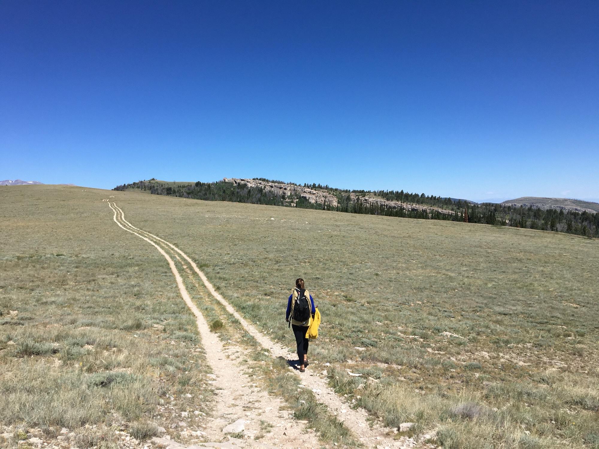 The long approach to somewhere. Wild Iris, Wyoming 2016