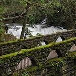 Whatcom Falls Park