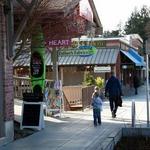 Bainbridge Island