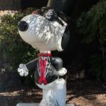 Charles M. Schulz Museum and Research Center