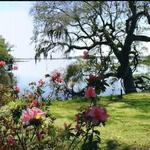 Mepkin Abbey Botanical Garden