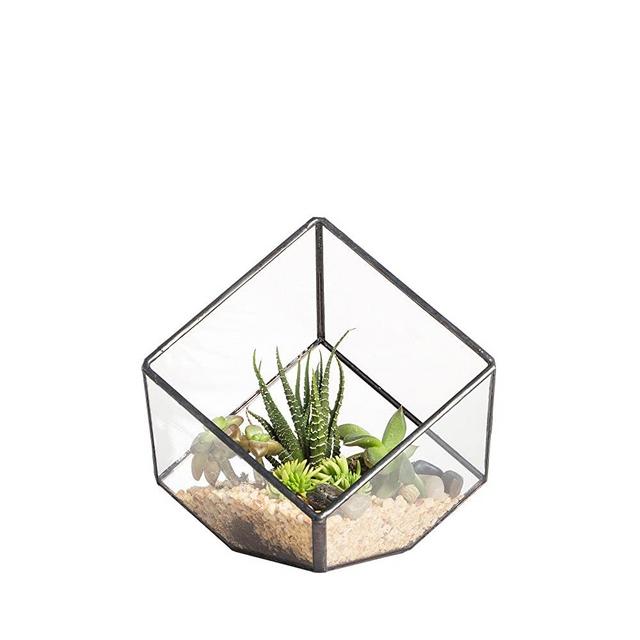 NCYP 3.93inches Black Geometric Glass Terrarium, Small Inclined Cube Clear Decorative Planter, Tabletop Air Plant Holder Display Box, Succulent Moss Flower Pot DIY Centerpiece (No Plants, No Lid)