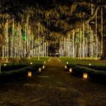 Brookgreen Gardens