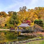 Brookside Gardens