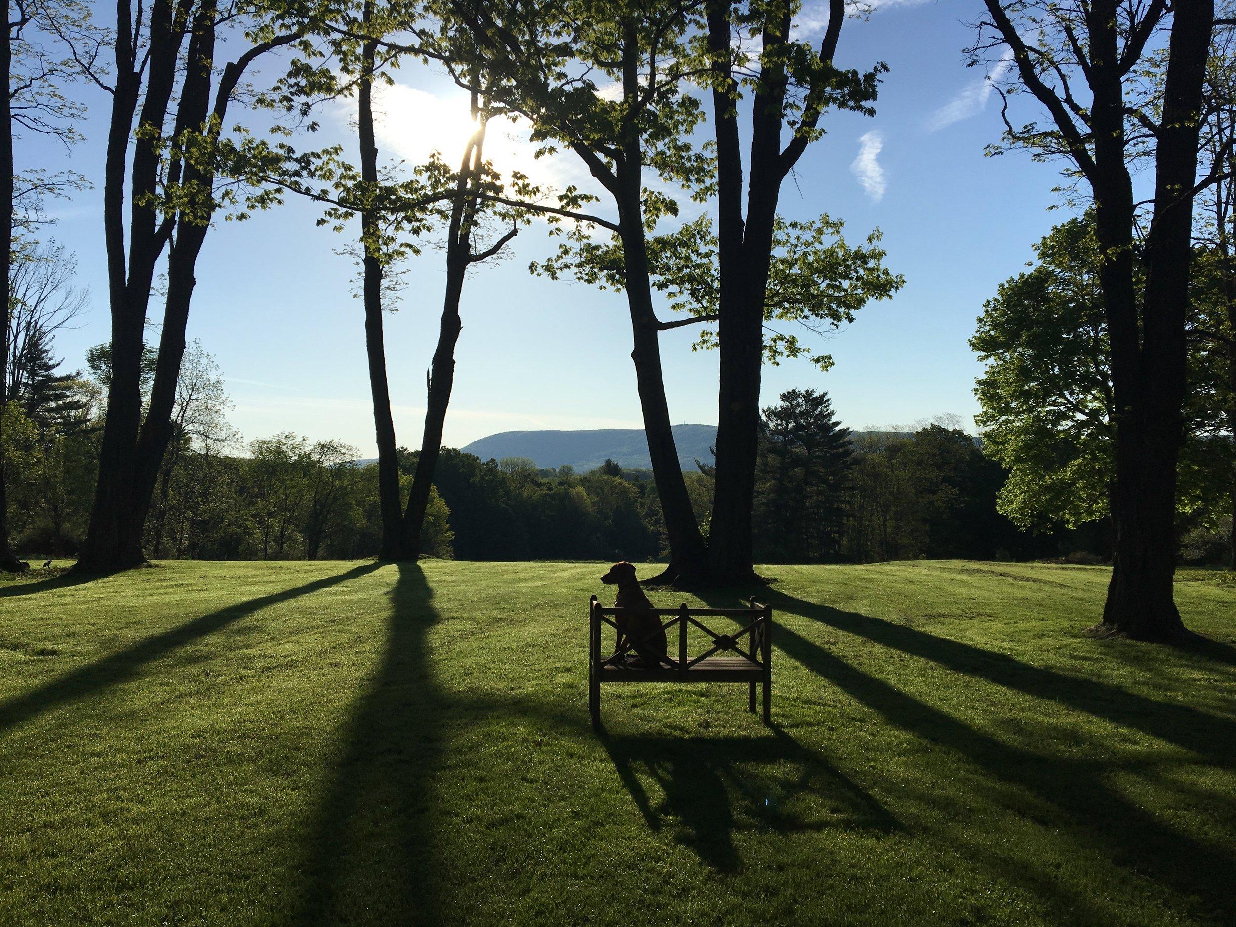 The Wedding Website of SamiDee Kirson and Roy Singer