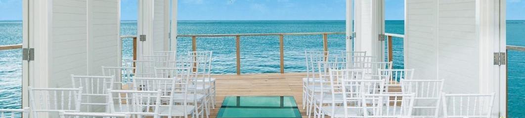 The Wedding Website of “LaDàna" Young and Cedric Young