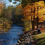 Saratoga Spa State Park
