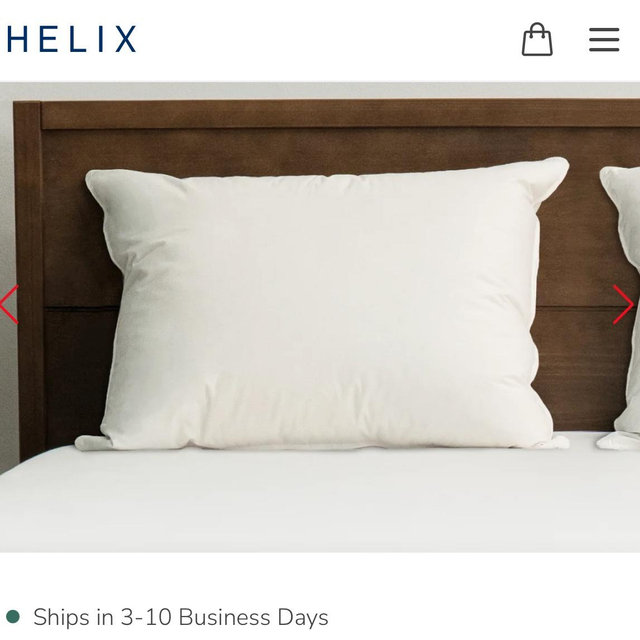Helix Down and Feather Pillow Standard Size