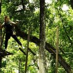 TreeHoppers Aerial Adventure Park