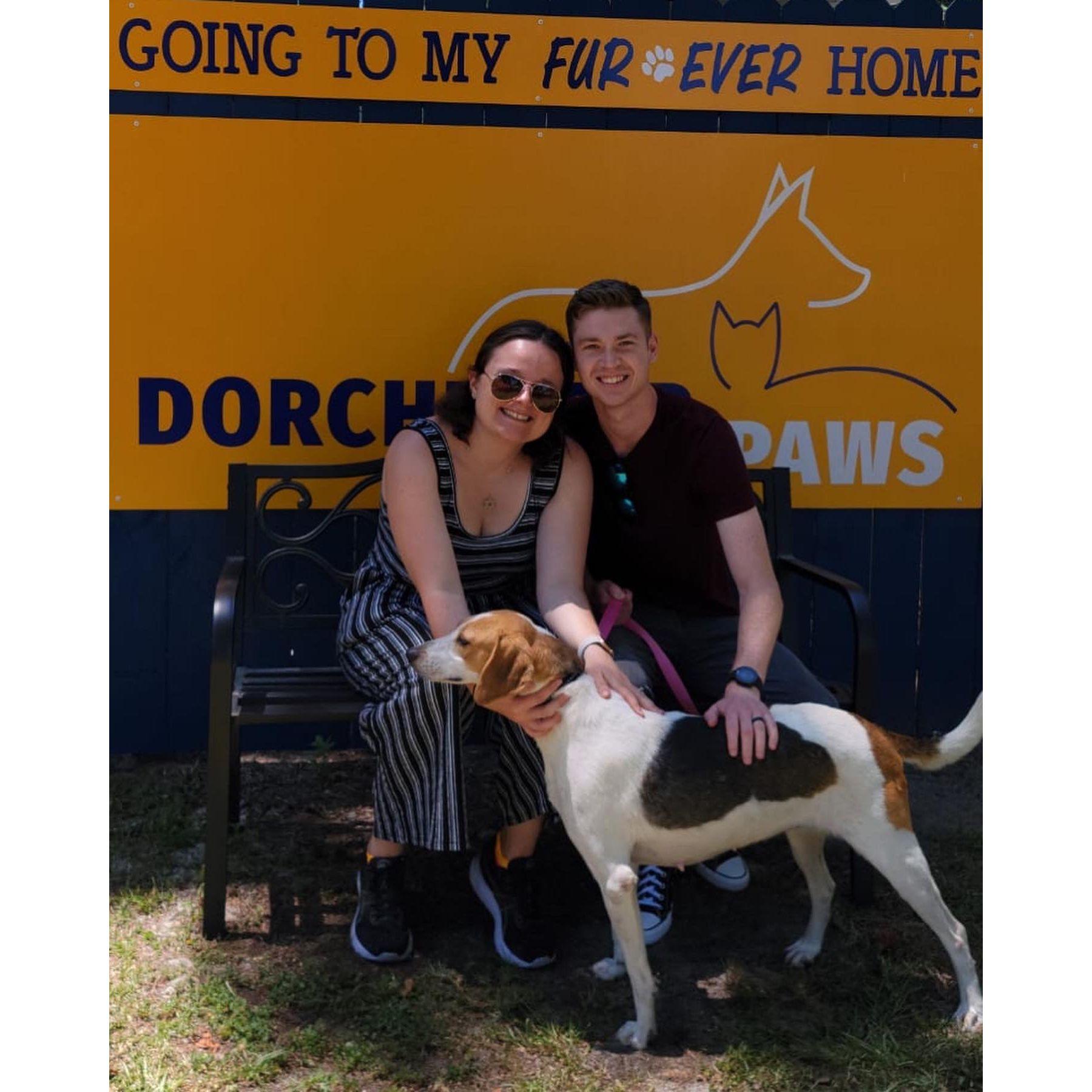 Logan's gotcha day.