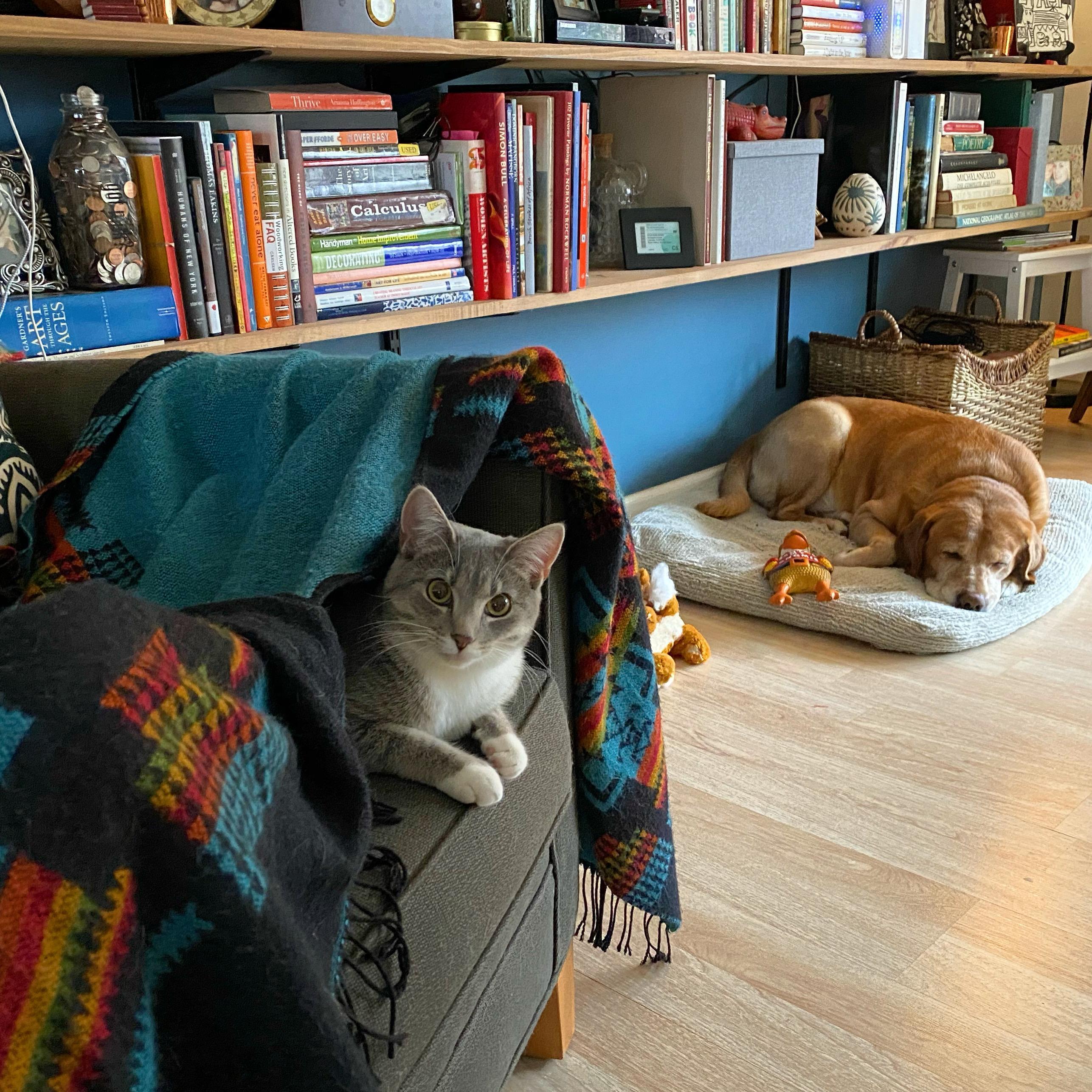 March 2020: Quarantine begins