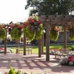 Bissonnette Gardens