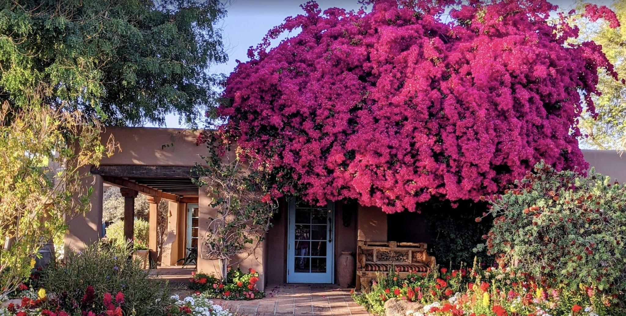 The Wedding Website of Colton Rehovsky and Alexa Amado