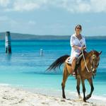 Vieques Island