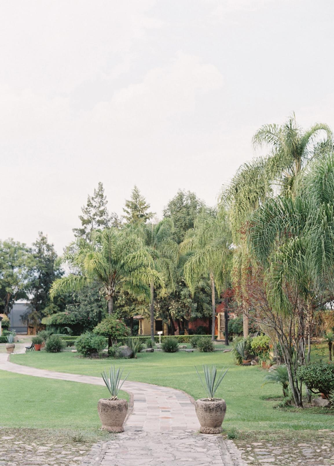 The Wedding Website of Isabella Barta and Michael Sharp