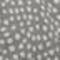 Dots Grey