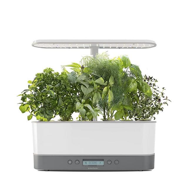 AeroGarden 901151-1200 Harvest Elite Slim with Gourmet Herb Seed Pod Kit-Hydroponic Indoor Garden, White Stainless