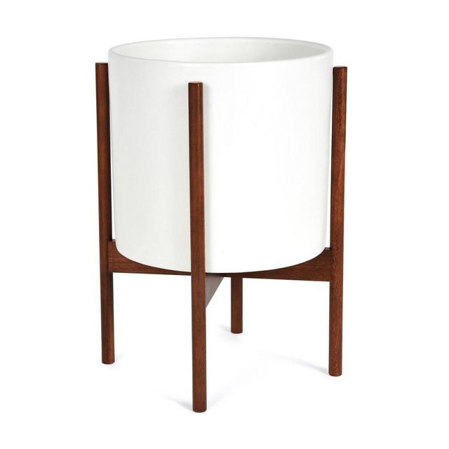 Large Case Study Cylinder with Stand