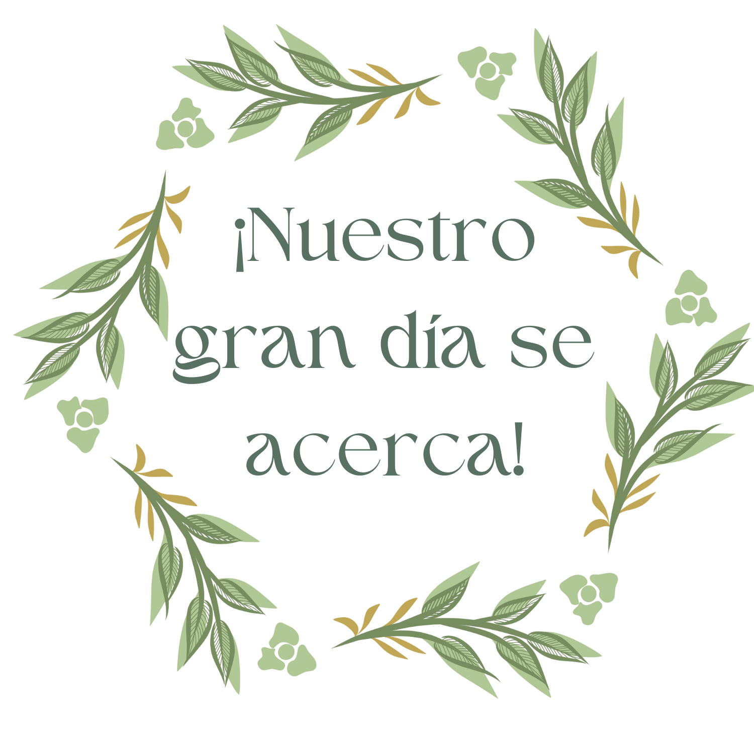 The Wedding Website of Ana Vargas and Alex Dols