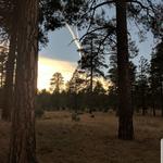 Tall Timbers Trailhead