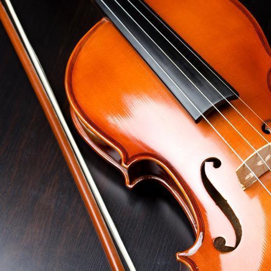 Violin Lessons