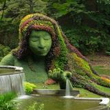 Atlanta Botanical Garden