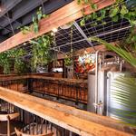 Young Blood Beer Company