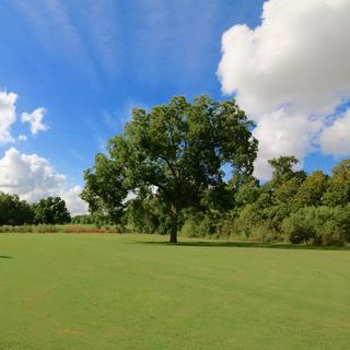 Harvey Penick Golf Campus Round of Golf for 2 - Austin