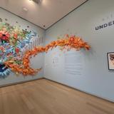 Arkansas Museum of Fine Arts