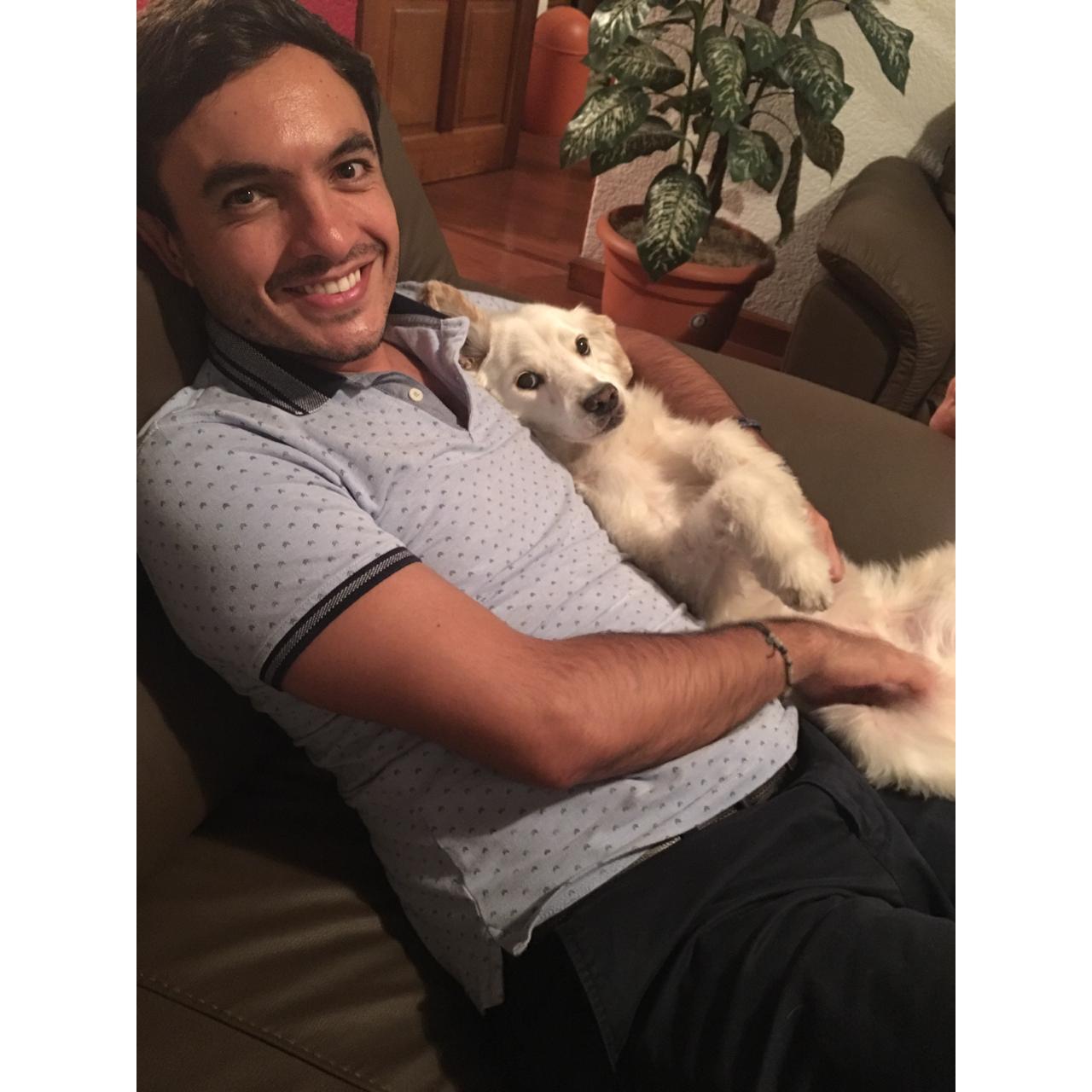 Mis amores
