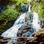 South River Falls Trail