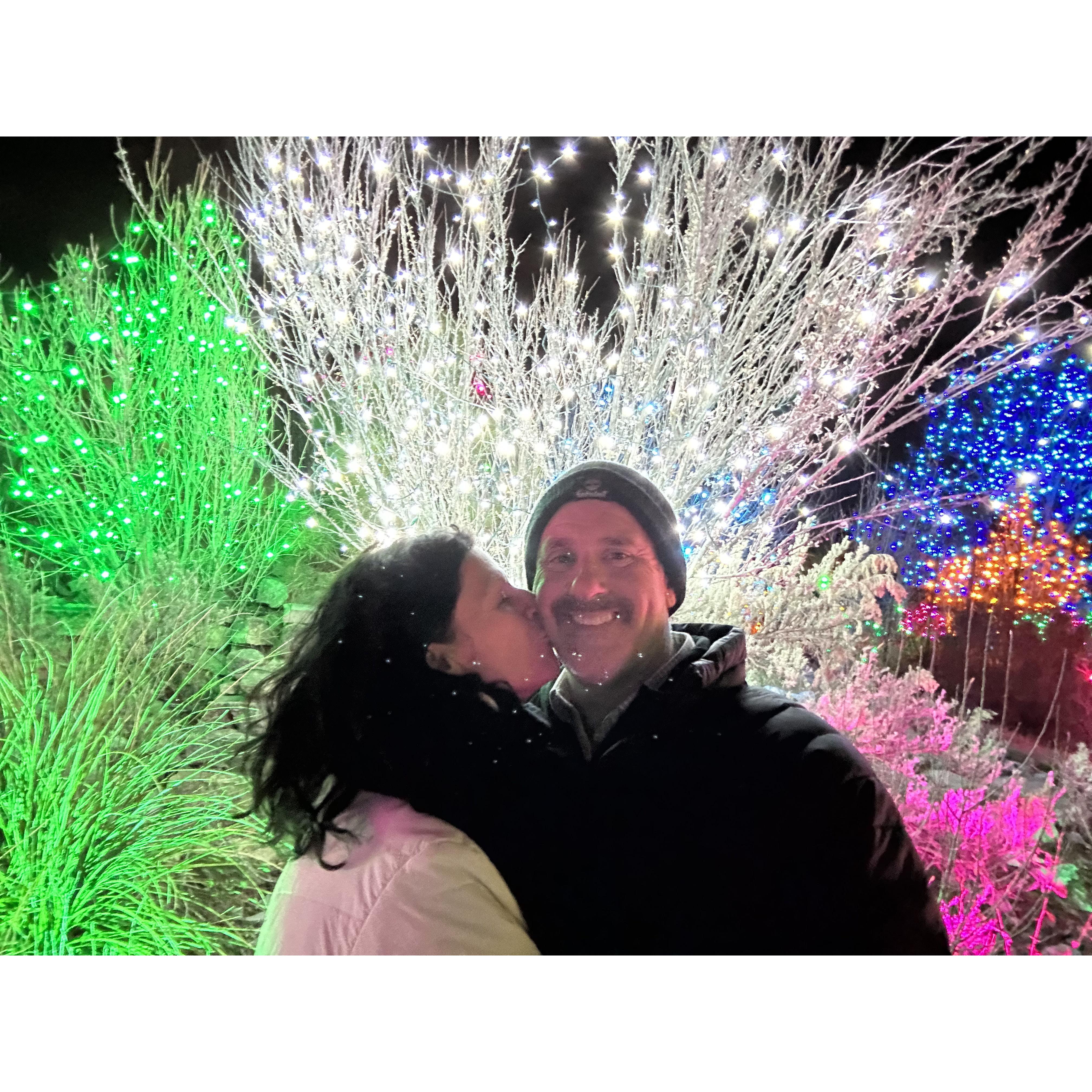 Christmas lights in the Denver Botanical Gardens, fun and beautiful.
