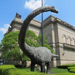 Carnegie Museum of Natural History and Art
