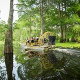 Airboat Tour