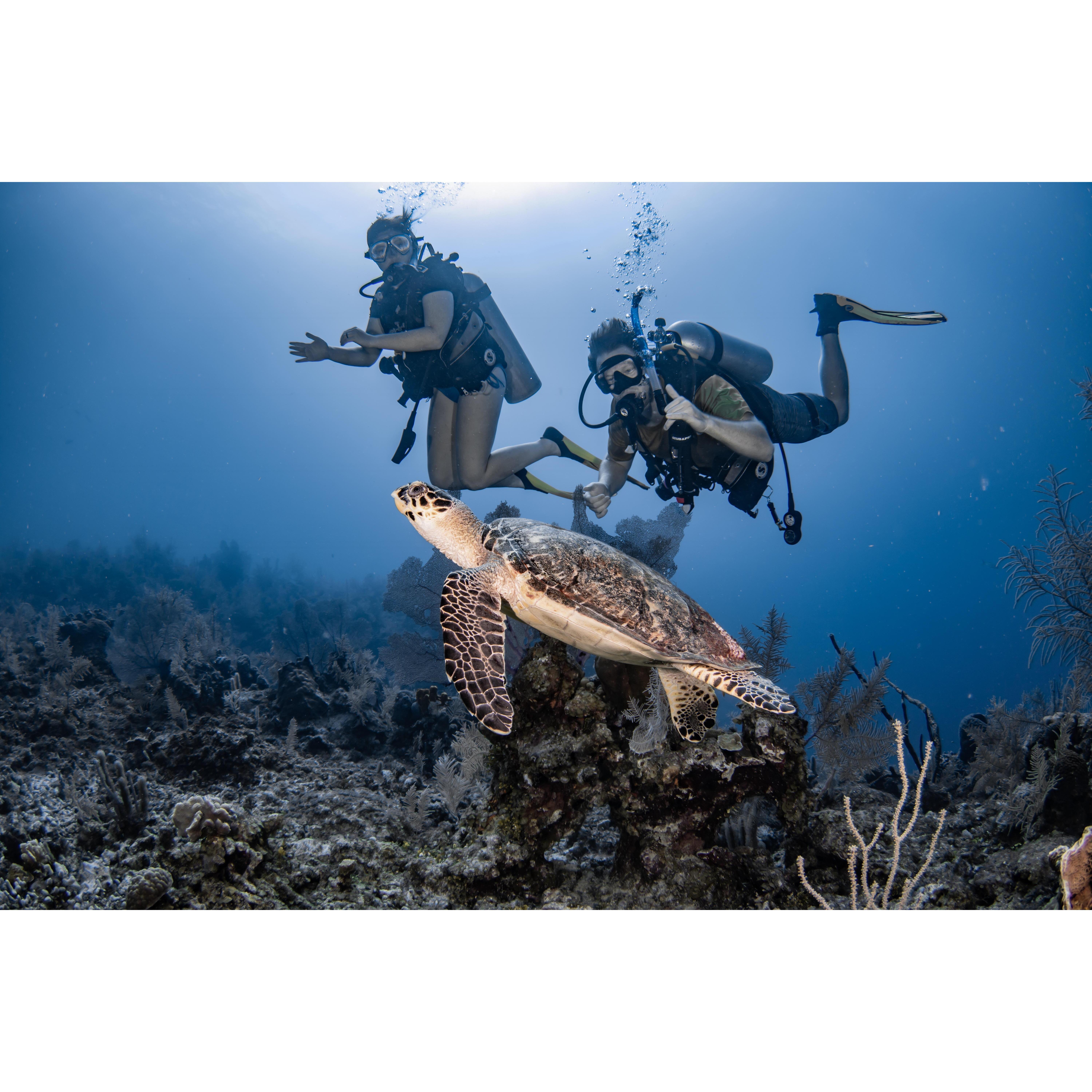 Lindsay and Devin scuba diving in the Cayman Islands