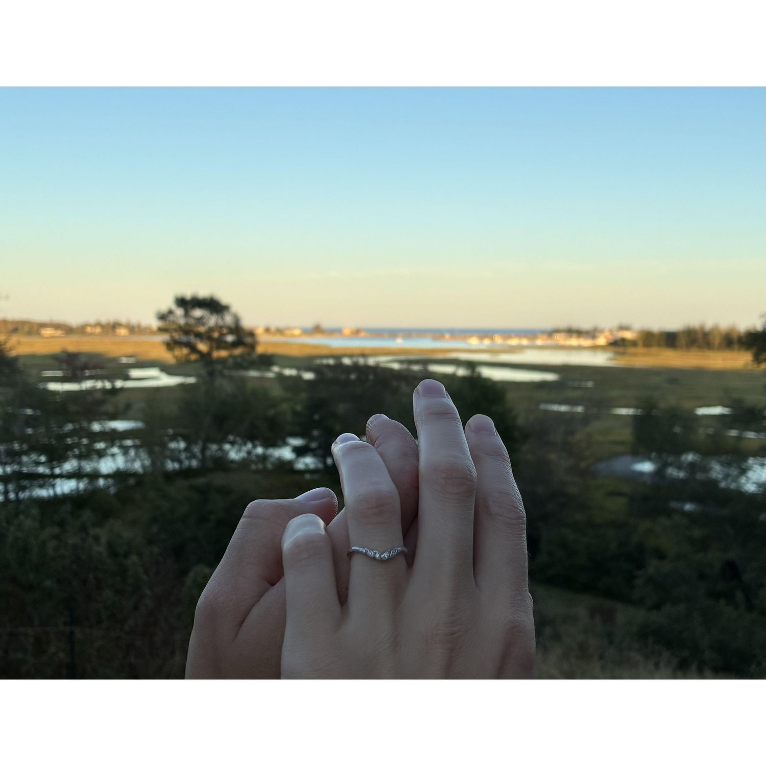 Newly engaged :)